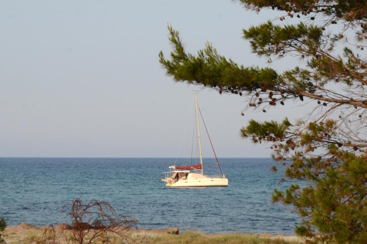 Appartamenti Fronte Mare سينيسكولا المظهر الخارجي الصورة